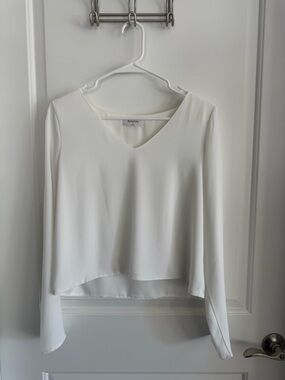 Aritzia Babaton Murphy Blouse V-Neck Long Sleeve